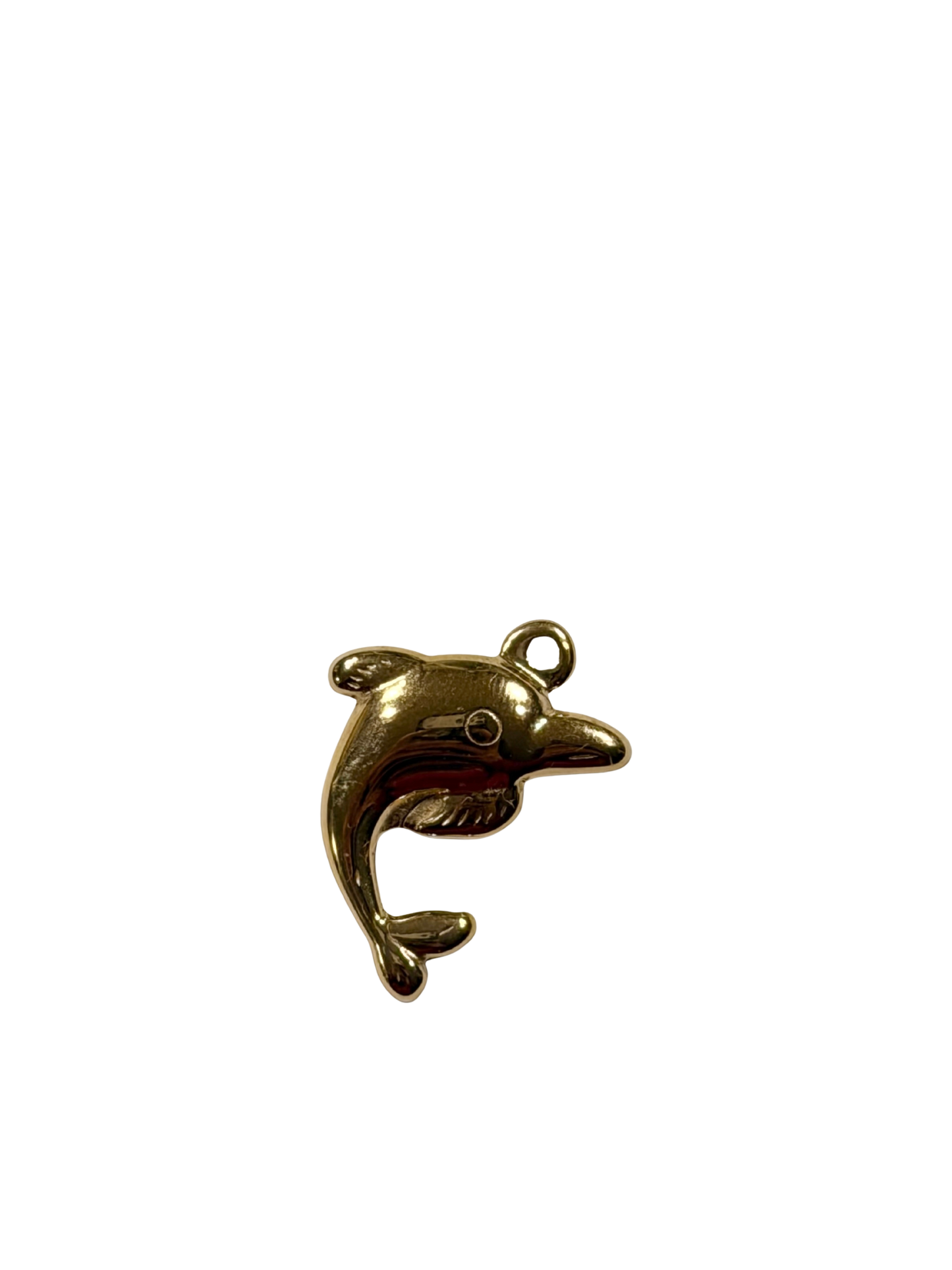 Golden Tide Dolphin Charm