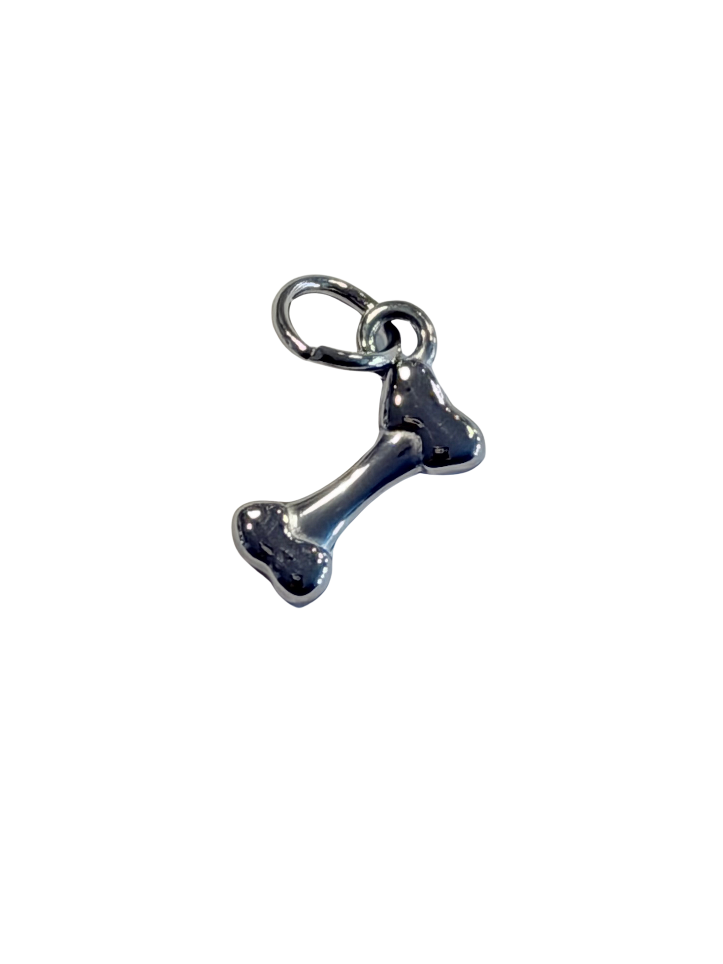 Wishing Bone Charm