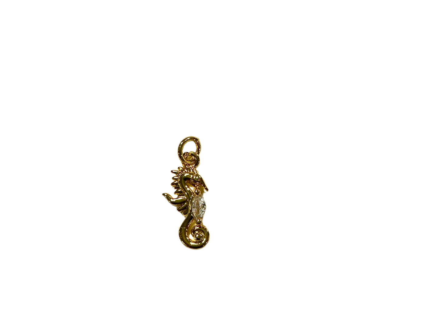 Ocean Guardian Sea Horse