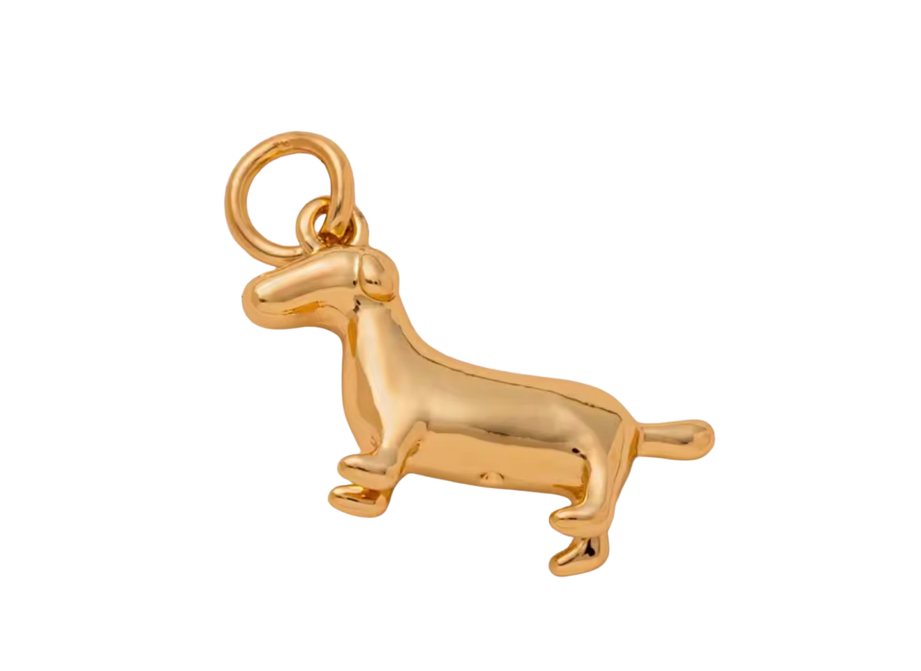 Weiner Dog Charm