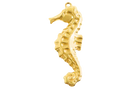 Seahorse Charm