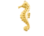 Seahorse Charm