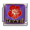 Aloha bloom Charm