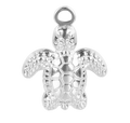 Silver Turtle
