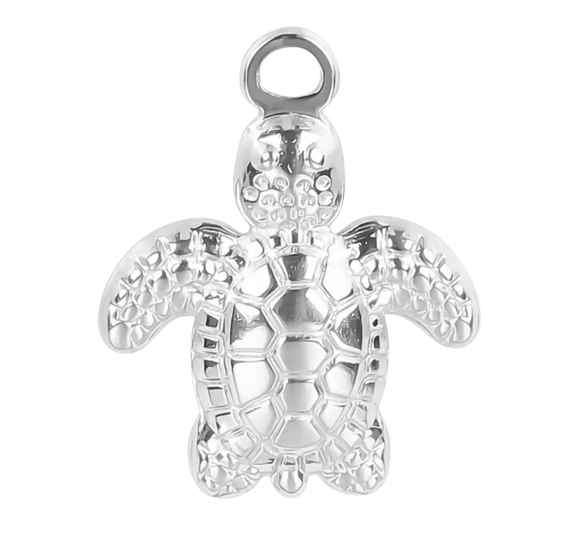 Silver Turtle