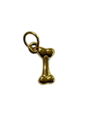 Gold Bone Charm