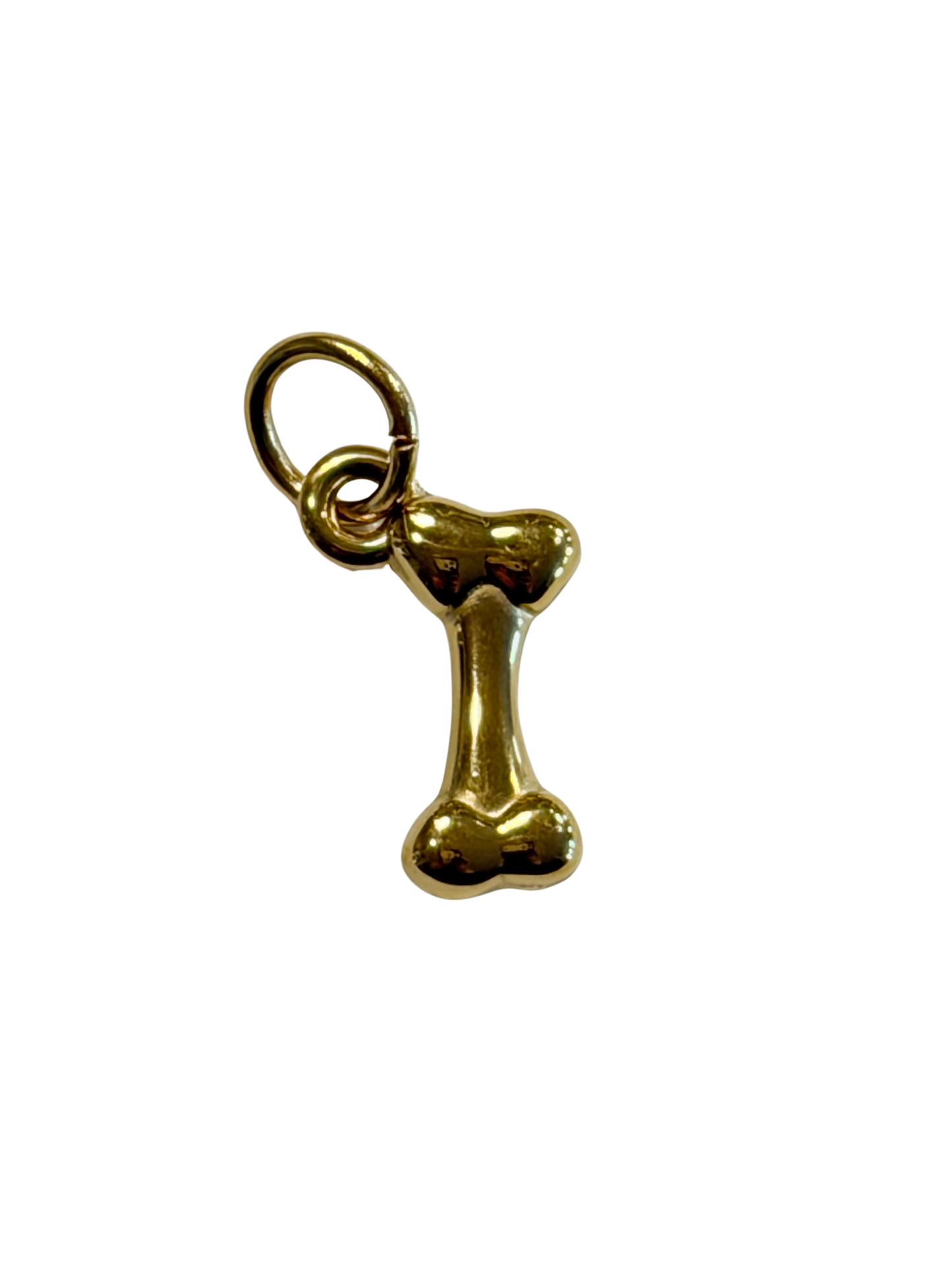 Wishing Bone Charm