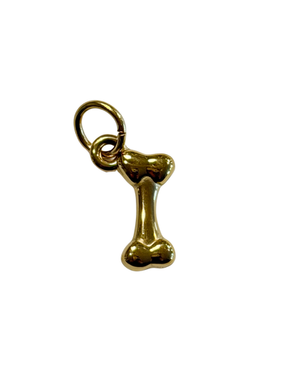 Wishing Bone Charm