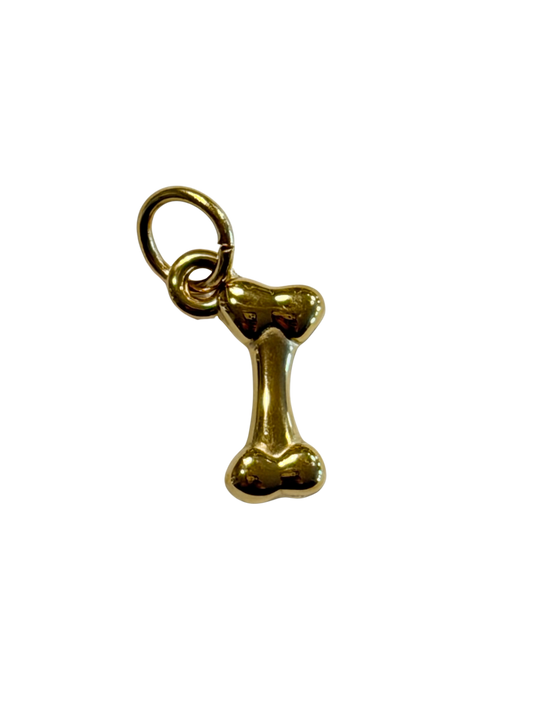 Wishing Bone Charm