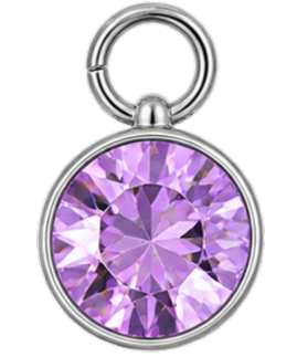 Silver Birth Stone Charms