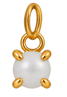 Birth Stones Charms