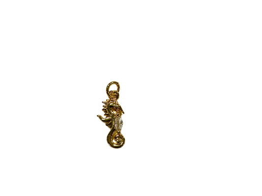 Ocean Guardian Sea Horse