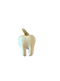 Tooth Charm