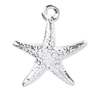 Silver Starfish