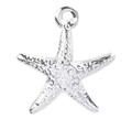 Silver Starfish