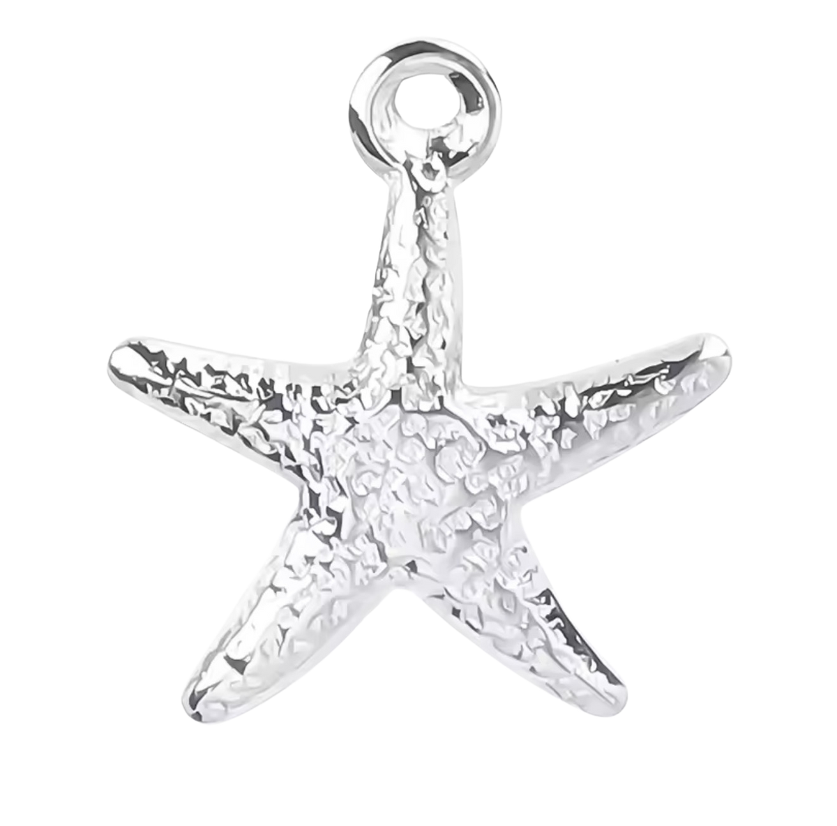 Silver Starfish