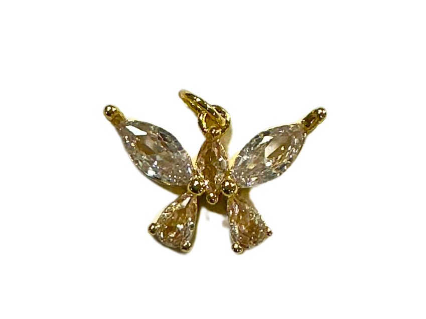 Shiny Butterfly