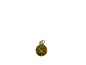 Compass Charm