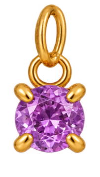 Birth Stones Charms