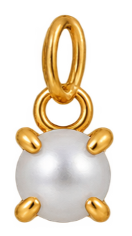Birth Stones Charms