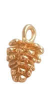 Pinecone