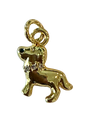 Louis Charm