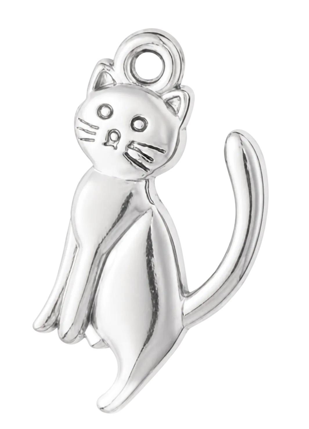 Silver Gato Charm