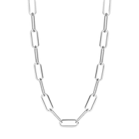 Silver Elongated Chain