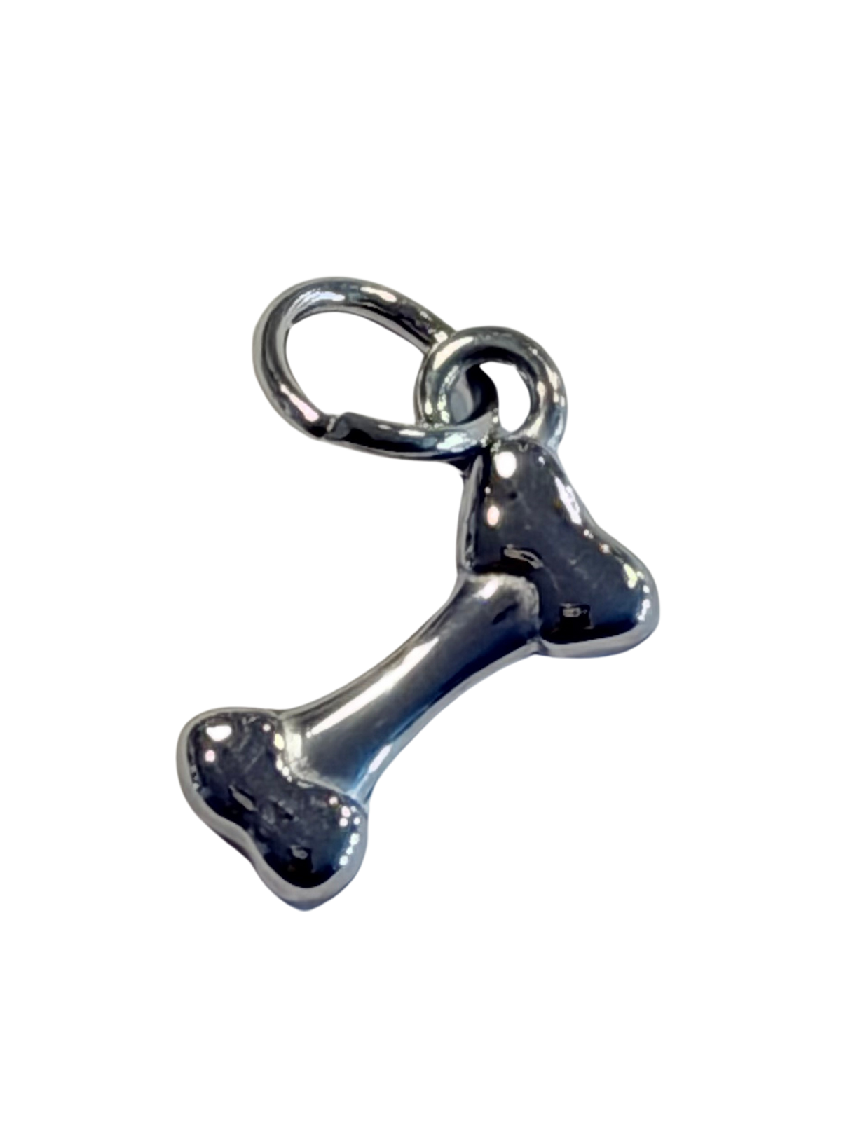 Silver Bone Charm