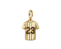 23 Jersey charm