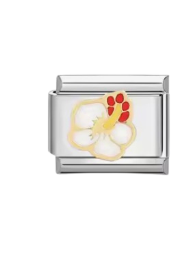 White hibiscus Italian