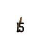 Quinceaňera Charm