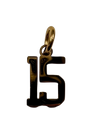 Quinceaňera Charm
