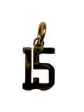 Quinceaňera Charm